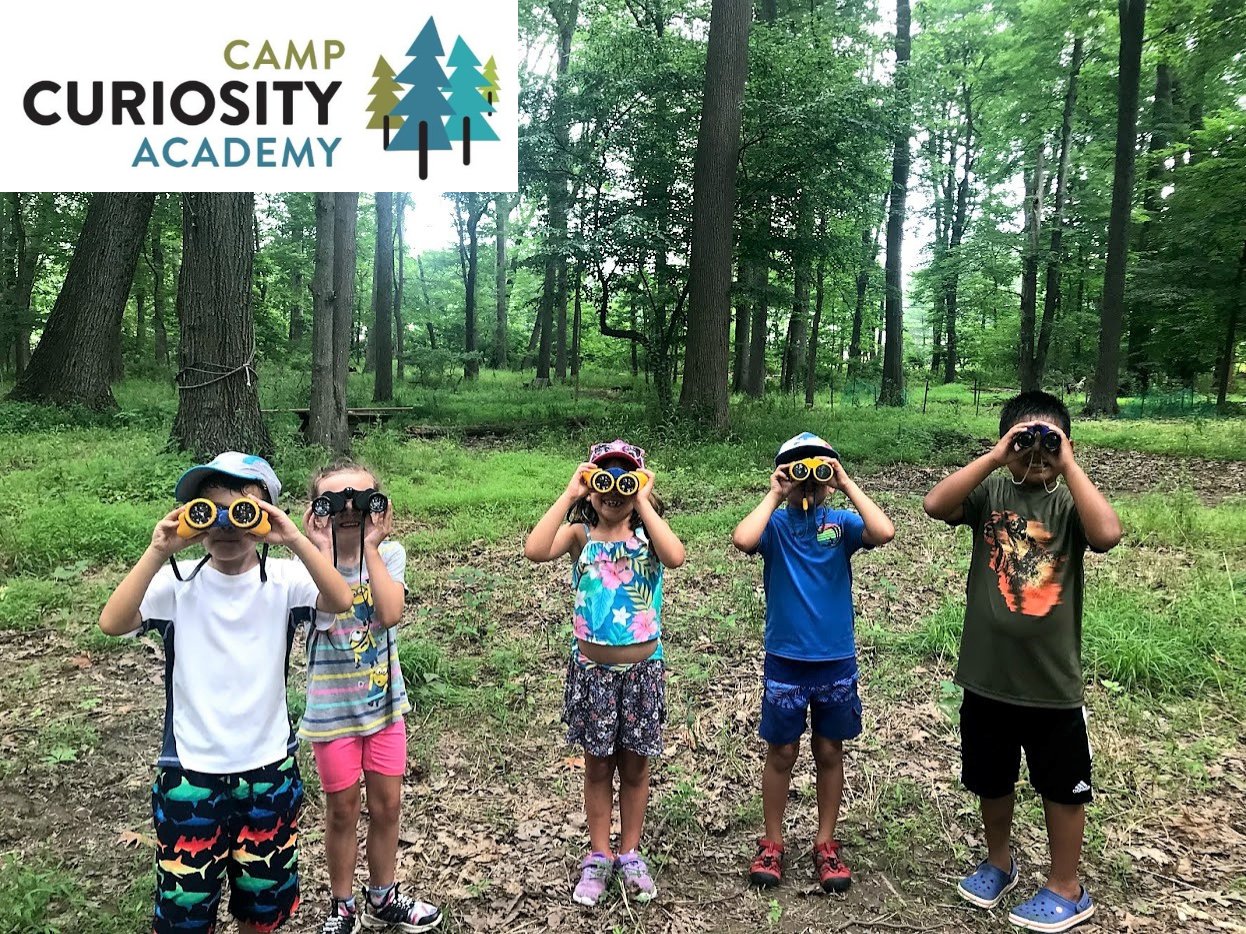 Camp Curiosity