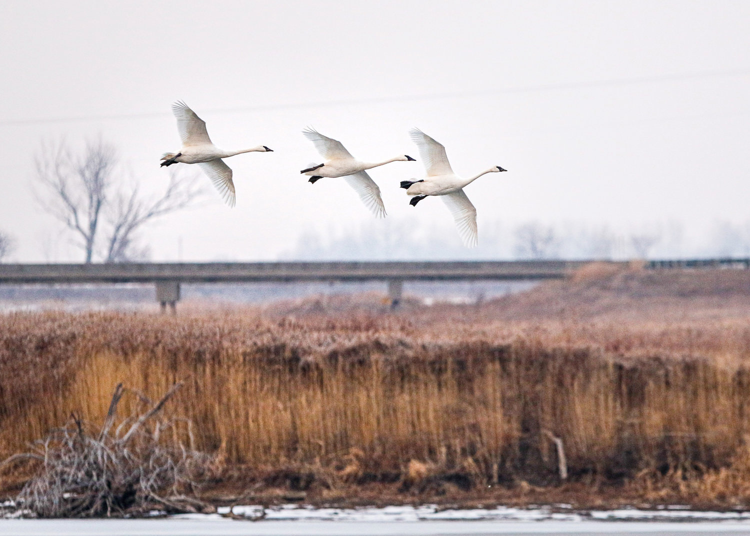 PHOTOS: DeSoto National Wildlife Refuge | Washington County Enterprise