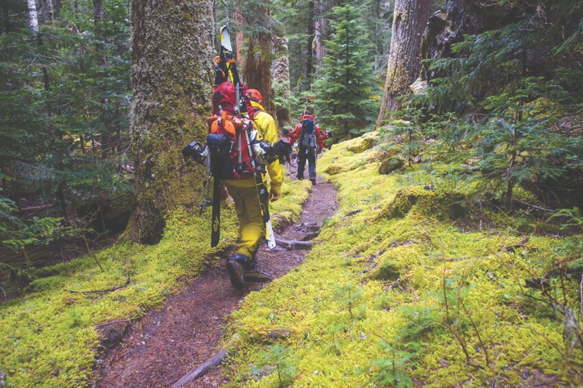 Below: Backcountry skiers hike through a lush forest on the Painted Traverse in Glacier Peak Wilderness. Jason Hummel photo.