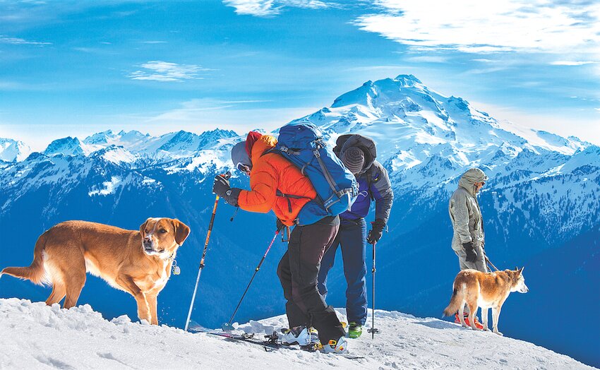 Dogs and skiers on Green Mountain. Jason Griffith photo.