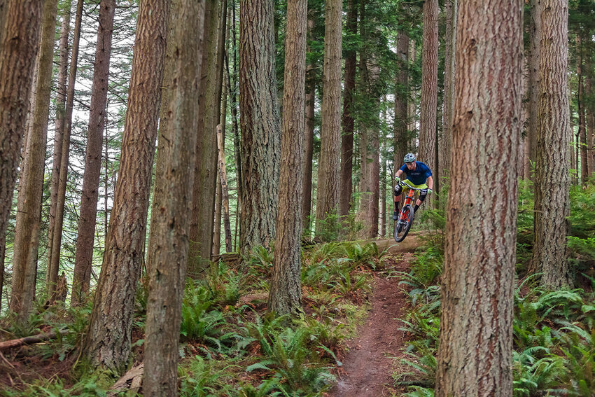 Lars Sternberg mountain biking on unknown Cascadian trails. Brandon Sawaya photo.