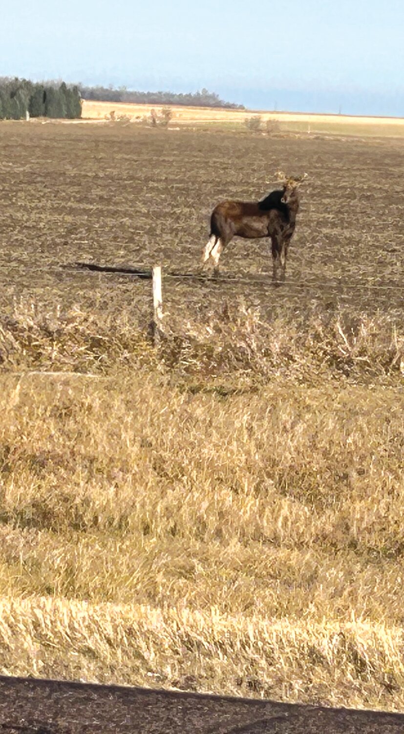 On a Midwest Adventure