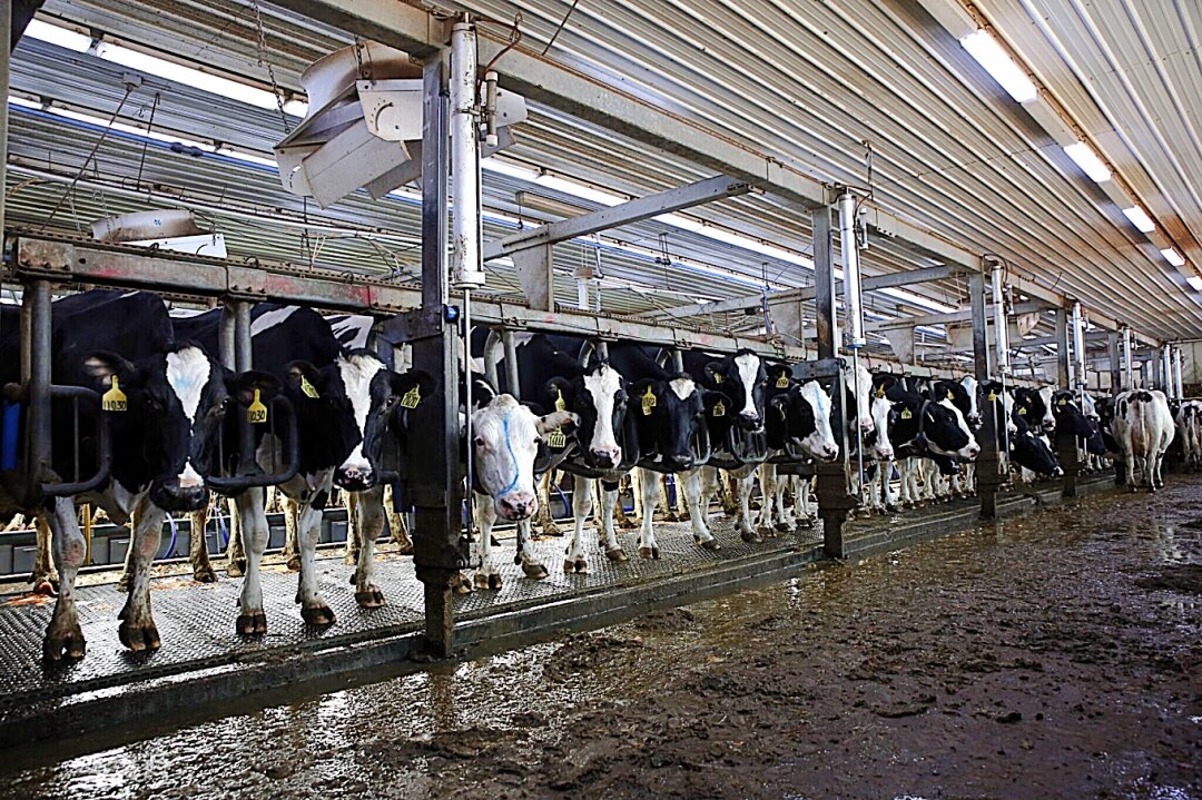South Dakota continues to incentivize dairies as industry struggles to find workers
