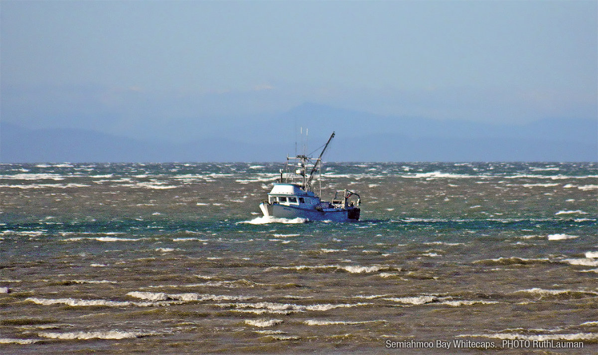 gale-warning-issued-for-whatcom-county-the-northern-light