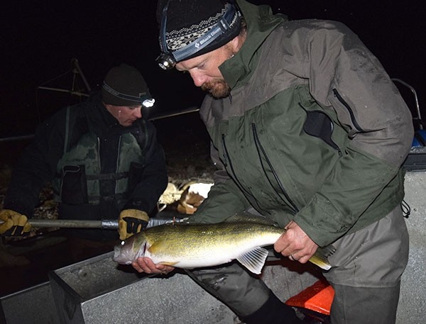 Tag, you’re it! Game and Fish tagging walleye in Buffalo