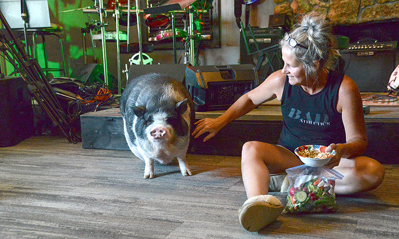 Gigi: the distinct but loved pig