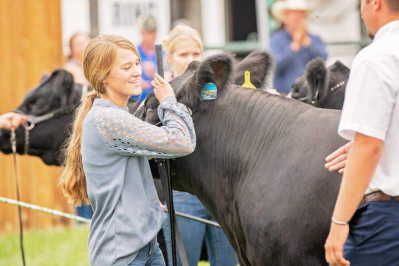 Hadley Cooper smiles as the judge awards her the top prize at the Market Beef Show at the Park County Fair in July. Cooper showed three steers at the 2021 fair and had the Champion Heavy Weight Steer, the Champion Medium Weight Steer and the Overall Grand Champion Steer.