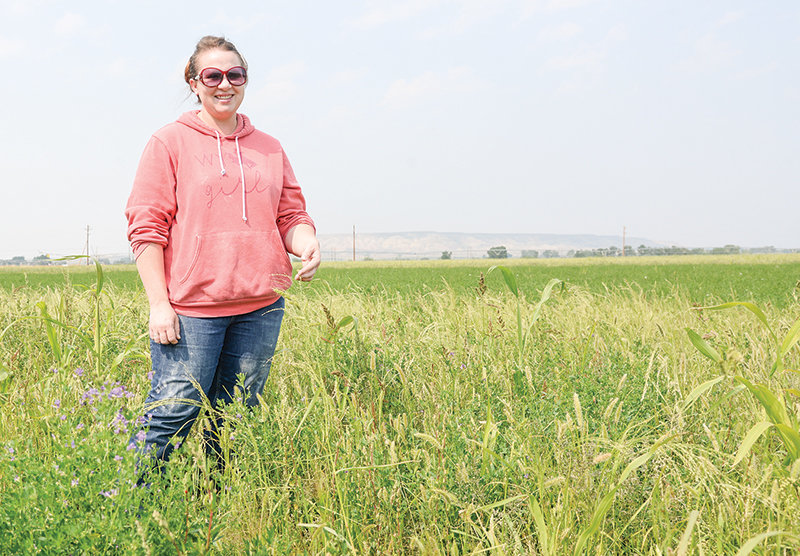Sara Wood stands in her regenerative hayfield on Heart Mountain. She uses a variety of grasses with no pesticides or fertilizers. She calls it symbiotic chaos, but she believes it will produce a much richer soil with fewer inputs.
