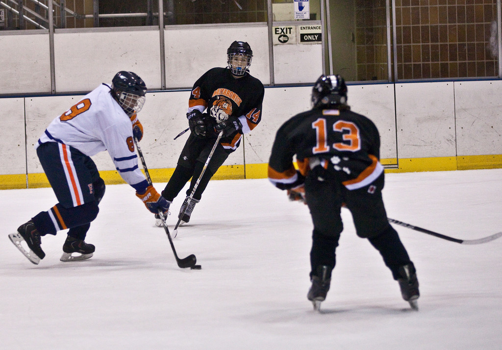 Fieldston hockey puts strong record on ice The Riverdale Press www