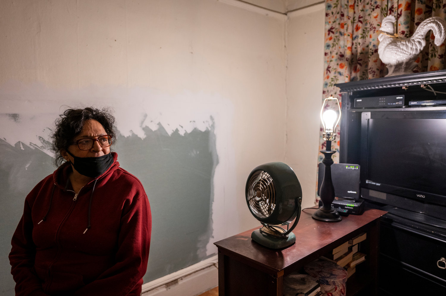 Review Place building infested with rats, mice tenants