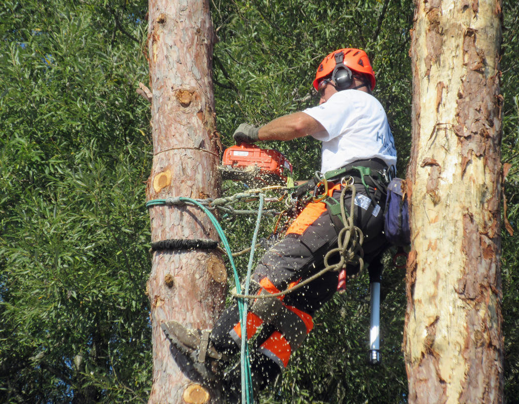 Woodsmen’s Field Days continues in Boonville Rome Daily Sentinel