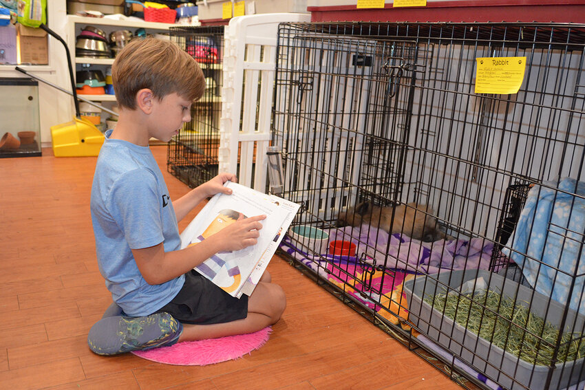 Jack Bulla, of Arnold, read to &ldquo;Rabbit DeNero,&rdquo; who is up for adoption at PAWS at the Mall.