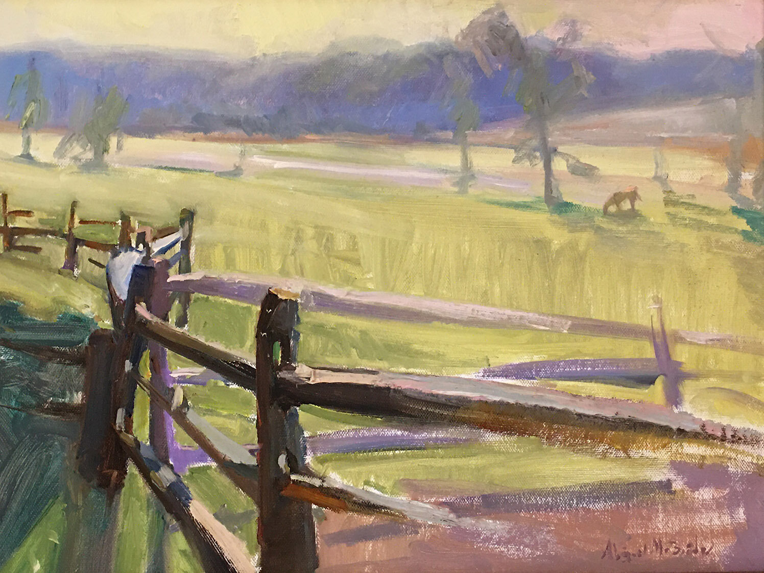From the outdoors to interesting people, the subjects of artist Abigail McBride are broad in scope. Her work will be on exhibit until September 5 at McBride Gallery in Annapolis.
