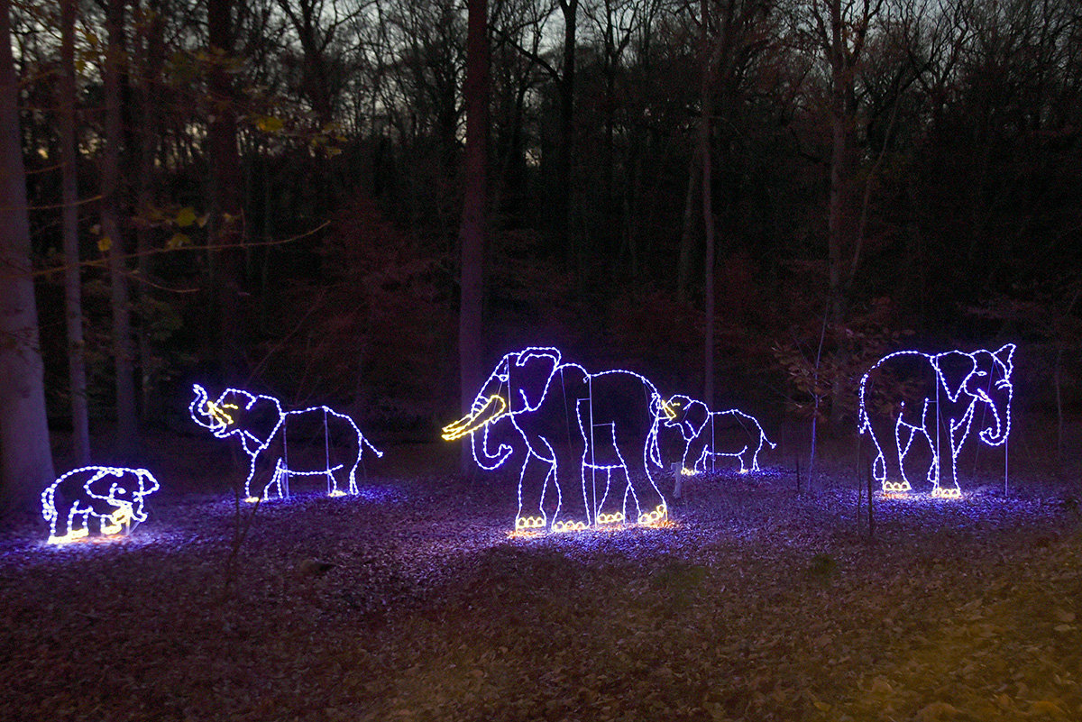 The Zoolights display at the Maryland Zoo features over 100,000 LED lights.